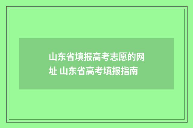 山东省填报高考志愿的网址 山东省高考填报指南