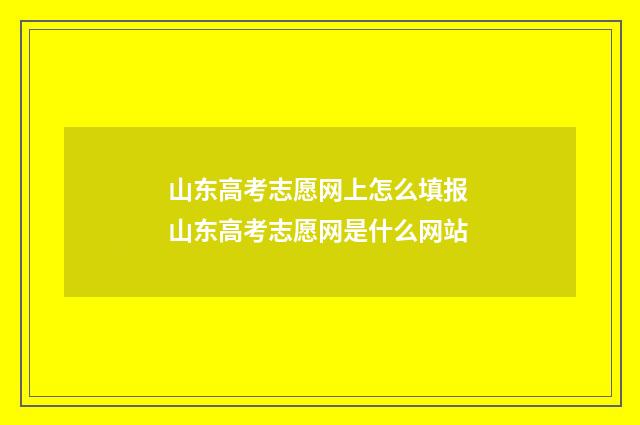 山东高考志愿网上怎么填报 山东高考志愿网是什么网站