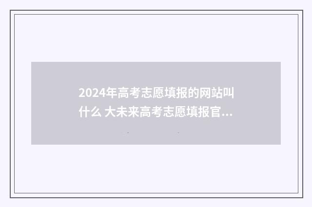2024年高考志愿填报的网站叫什么 大未来高考志愿填报官网