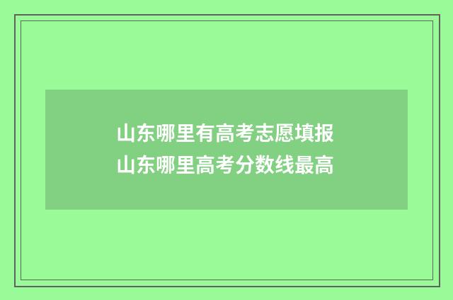山东哪里有高考志愿填报 山东哪里高考分数线最高