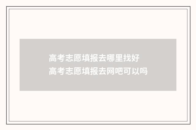 高考志愿填报去哪里找好 高考志愿填报去网吧可以吗