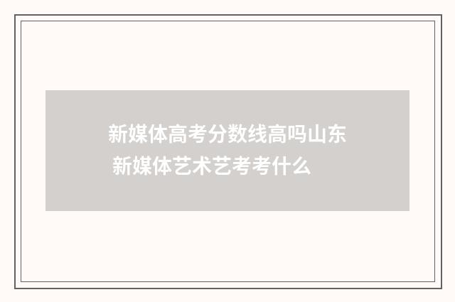 新媒体高考分数线高吗山东 新媒体艺术艺考考什么
