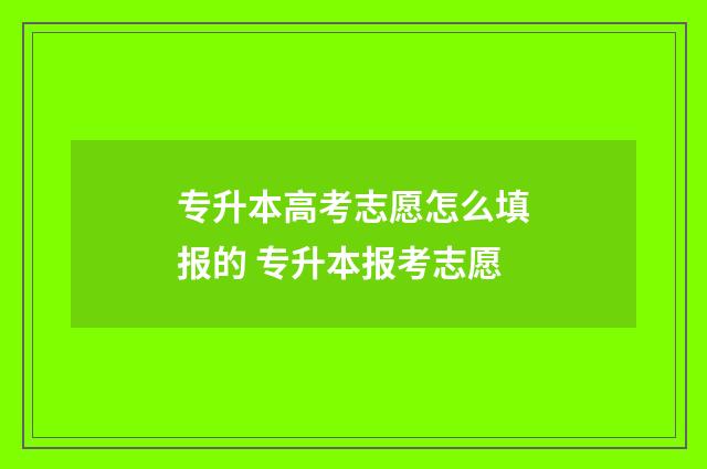 专升本高考志愿怎么填报的 专升本报考志愿