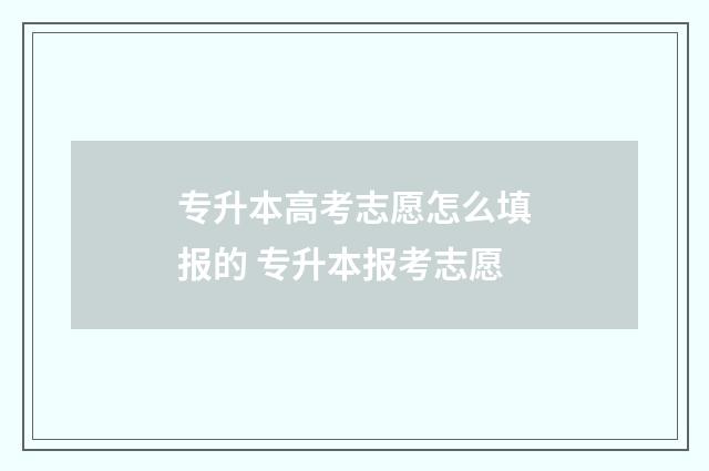 专升本高考志愿怎么填报的 专升本报考志愿