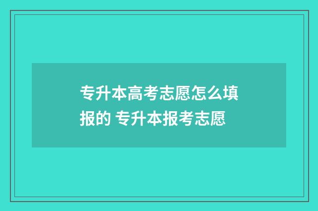 专升本高考志愿怎么填报的 专升本报考志愿