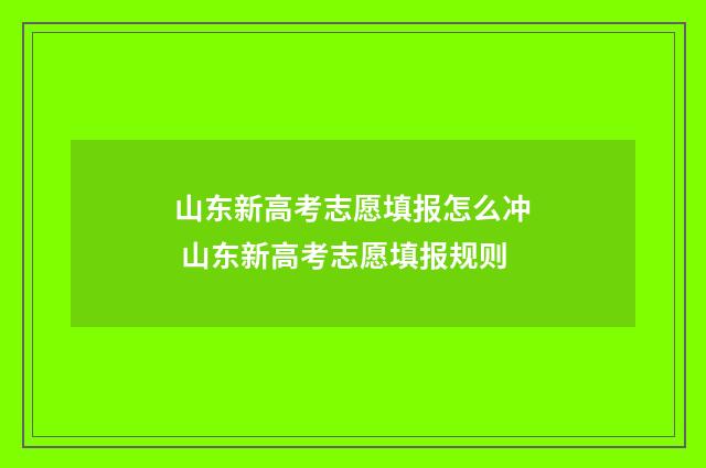 山东新高考志愿填报怎么冲 山东新高考志愿填报规则