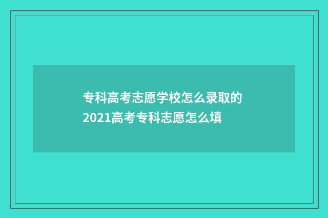 专科高考志愿学校怎么录取的 2021高考专科志愿怎么填
