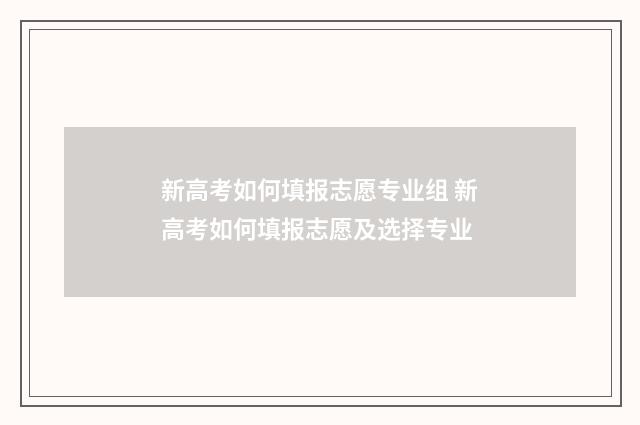 新高考如何填报志愿专业组 新高考如何填报志愿及选择专业