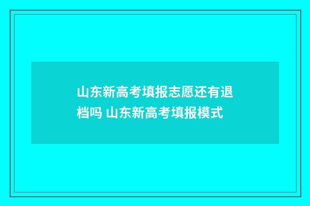 山东新高考填报志愿还有退档吗 山东新高考填报模式