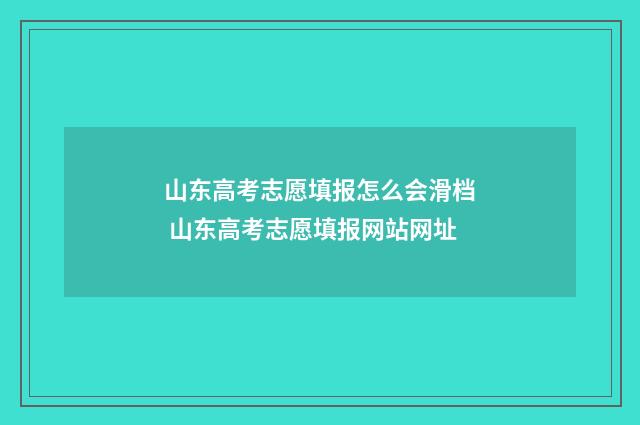 山东高考志愿填报怎么会滑档 山东高考志愿填报网站网址