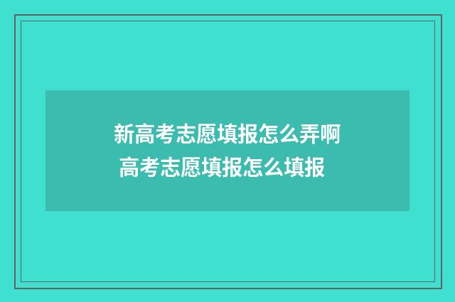 新高考志愿填报怎么弄啊 高考志愿填报怎么填报