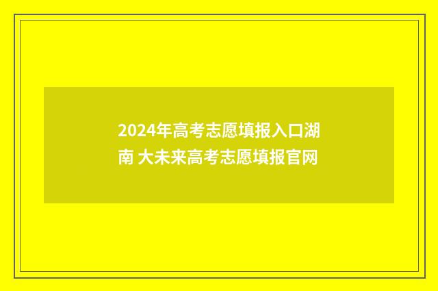 2024年高考志愿填报入口湖南 大未来高考志愿填报官网