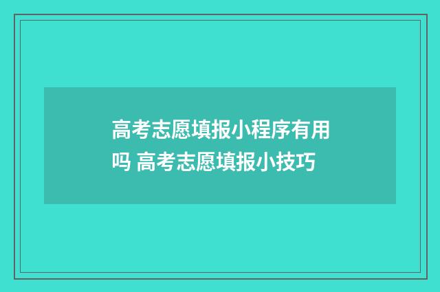 高考志愿填报小程序有用吗 高考志愿填报小技巧