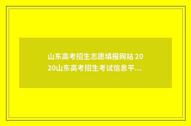 山东高考招生志愿填报网站 2020山东高考招生考试信息平台