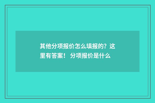 其他分项报价怎么填报的？这里有答案！ 分项报价是什么