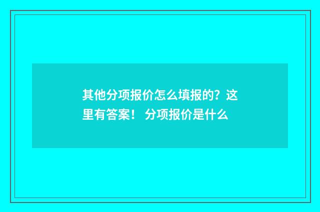 其他分项报价怎么填报的？这里有答案！ 分项报价是什么