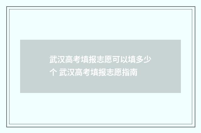武汉高考填报志愿可以填多少个 武汉高考填报志愿指南