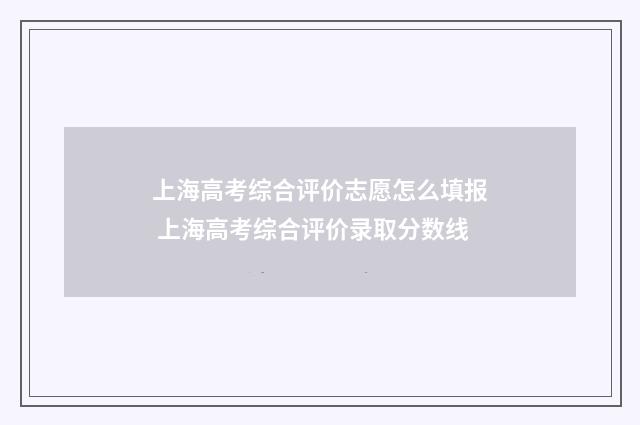 上海高考综合评价志愿怎么填报 上海高考综合评价录取分数线