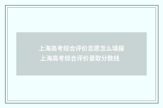 上海高考综合评价志愿怎么填报 上海高考综合评价录取分数线