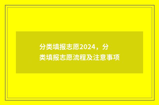 分类填报志愿2024，分类填报志愿流程及注意事项