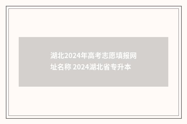 湖北2024年高考志愿填报网址名称 2024湖北省专升本