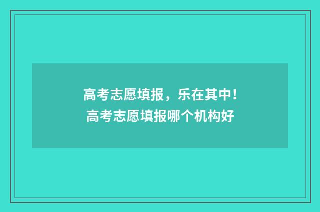 高考志愿填报，乐在其中！ 高考志愿填报哪个机构好