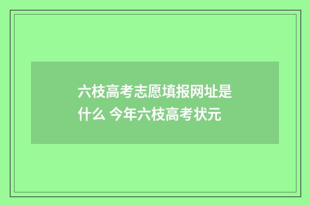 六枝高考志愿填报网址是什么 今年六枝高考状元
