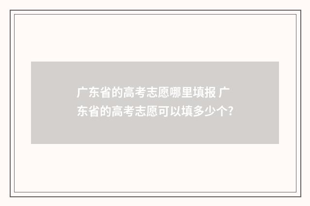 广东省的高考志愿哪里填报 广东省的高考志愿可以填多少个?