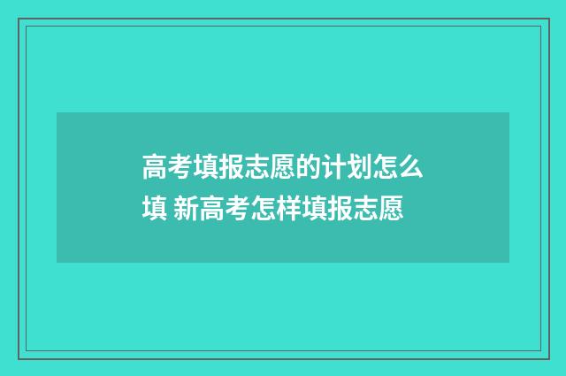 高考填报志愿的计划怎么填 新高考怎样填报志愿