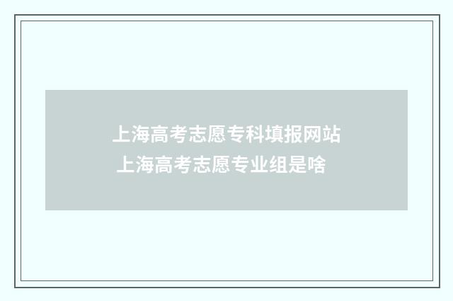上海高考志愿专科填报网站 上海高考志愿专业组是啥