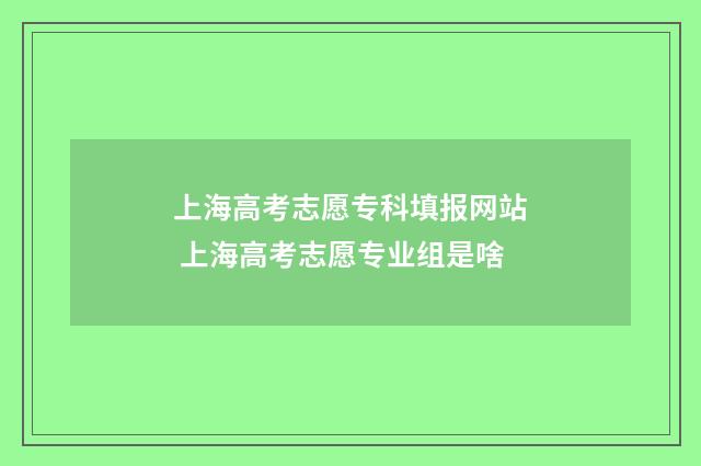上海高考志愿专科填报网站 上海高考志愿专业组是啥