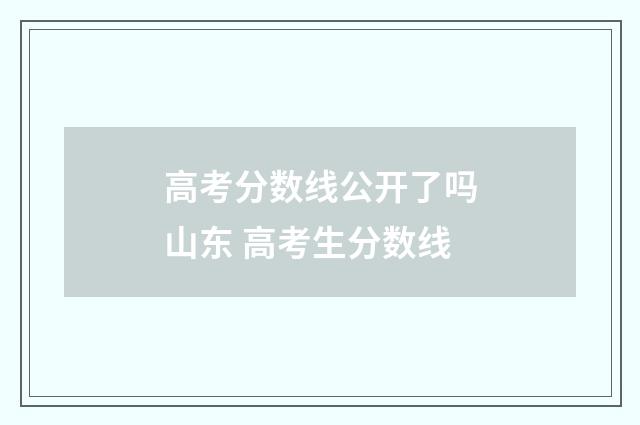 高考分数线公开了吗山东 高考生分数线