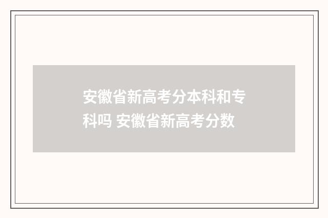 安徽省新高考分本科和专科吗 安徽省新高考分数