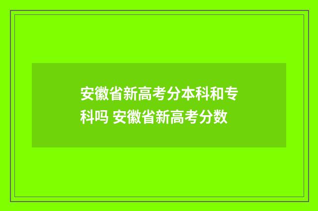 安徽省新高考分本科和专科吗 安徽省新高考分数