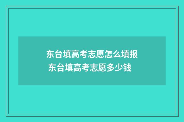东台填高考志愿怎么填报 东台填高考志愿多少钱