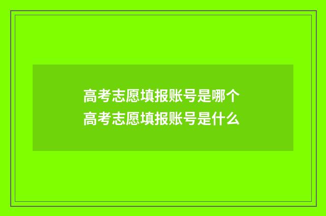 高考志愿填报账号是哪个 高考志愿填报账号是什么