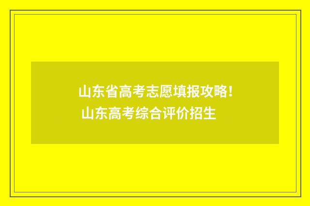 山东省高考志愿填报攻略！ 山东高考综合评价招生