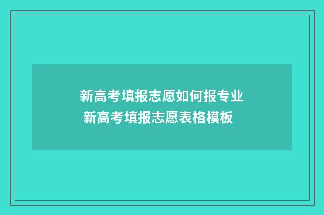 新高考填报志愿如何报专业 新高考填报志愿表格模板