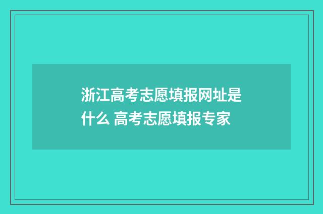 浙江高考志愿填报网址是什么 高考志愿填报专家