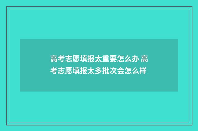 高考志愿填报太重要怎么办 高考志愿填报太多批次会怎么样