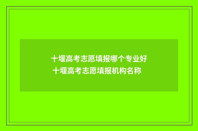 十堰高考志愿填报哪个专业好 十堰高考志愿填报机构名称