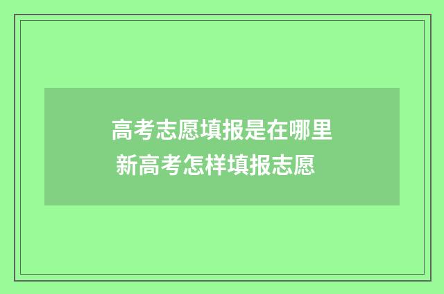 高考志愿填报是在哪里 新高考怎样填报志愿