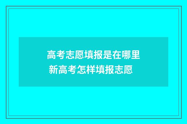 高考志愿填报是在哪里 新高考怎样填报志愿
