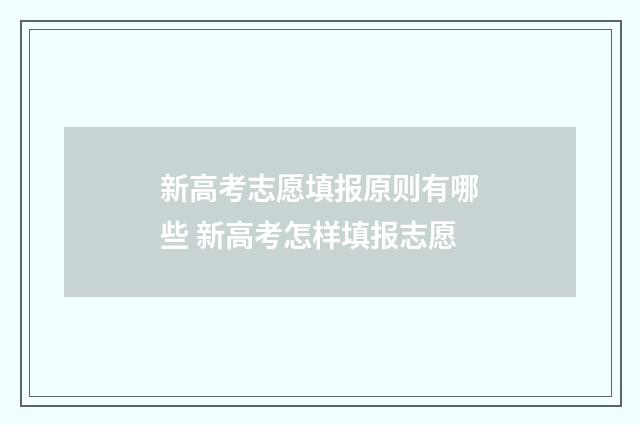 新高考志愿填报原则有哪些 新高考怎样填报志愿