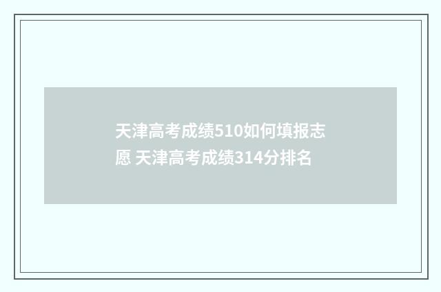 天津高考成绩510如何填报志愿 天津高考成绩314分排名