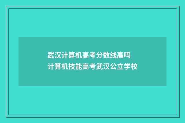 武汉计算机高考分数线高吗 计算机技能高考武汉公立学校