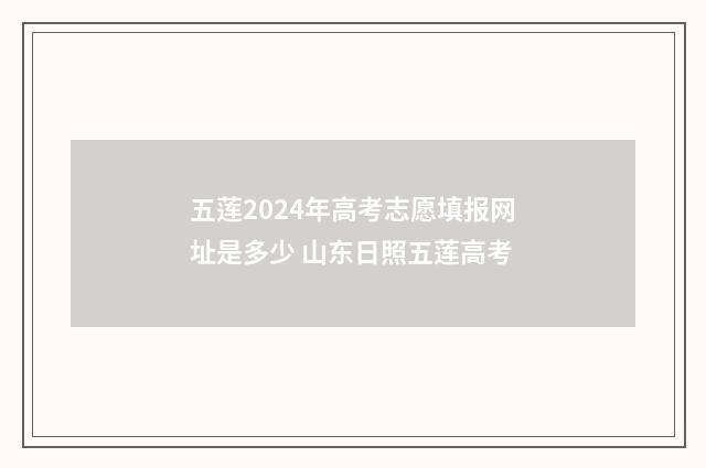 五莲2024年高考志愿填报网址是多少 山东日照五莲高考