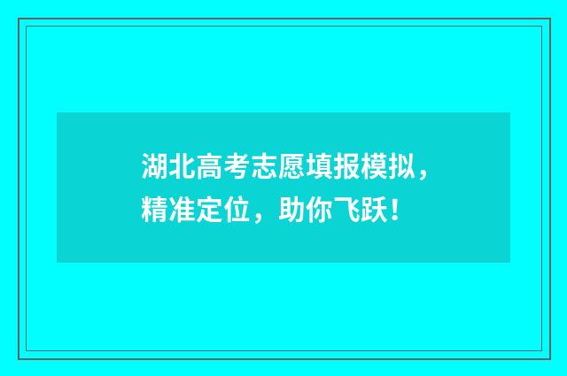 湖北高考志愿填报模拟，精准定位，助你飞跃！