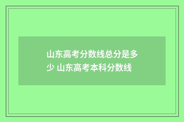 山东高考分数线总分是多少 山东高考本科分数线