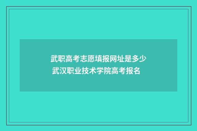 武职高考志愿填报网址是多少 武汉职业技术学院高考报名